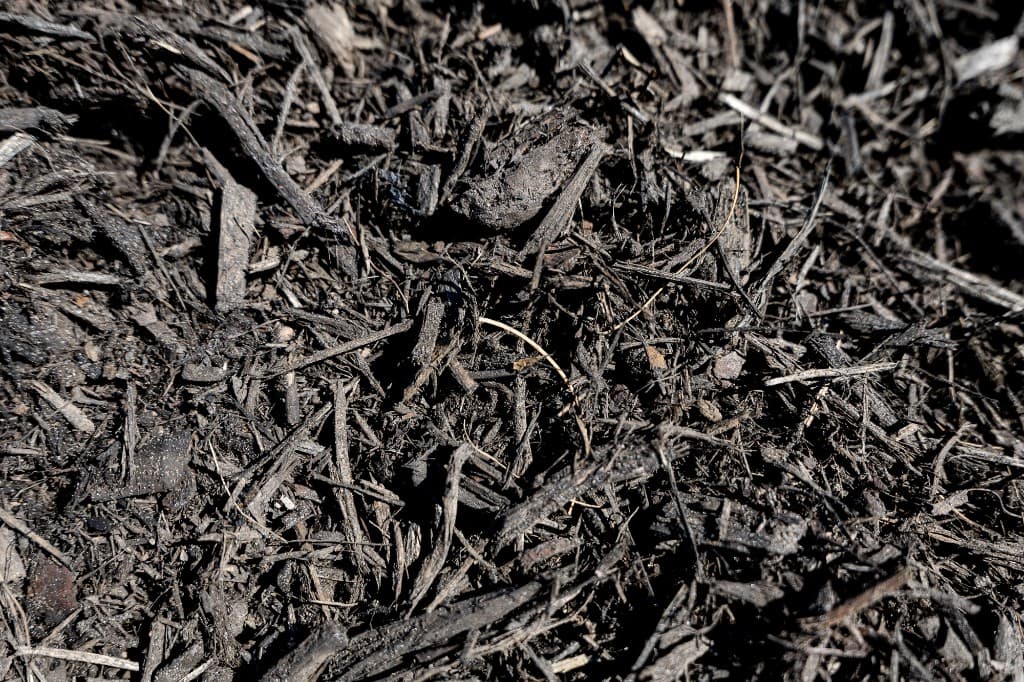 Black cypress shred mulch